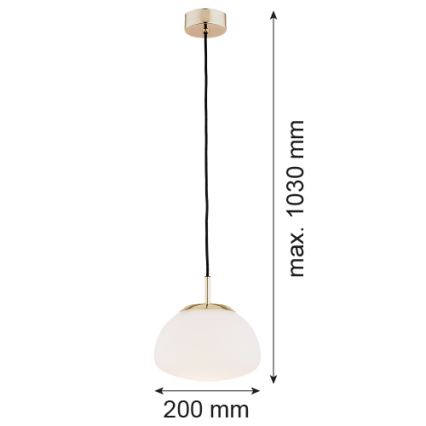 Argon 4352 - Luster na lanku TRINI 1xE27/15W/230V pr. 20 cm zlatá