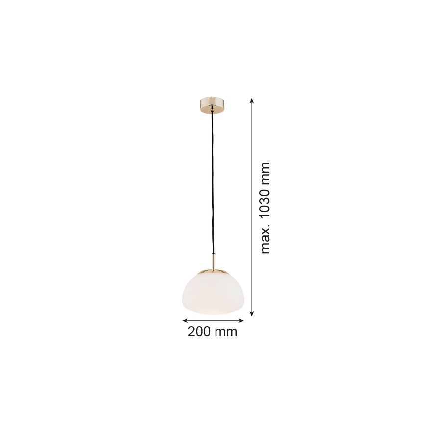 Argon 4352 - Luster na lanku TRINI 1xE27/15W/230V pr. 20 cm zlatá