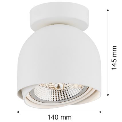 Argon 4710 - Bodové svietidlo GARLAND 1xGU10-AR111/12W/230V biela