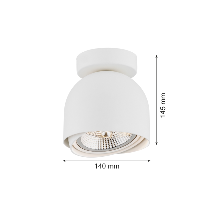 Argon 4710 - Bodové svietidlo GARLAND 1xGU10-AR111/12W/230V biela