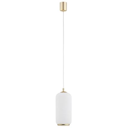 Argon 4993 - Luster na lanku PALLADO 1xE27/15W/230V zlatá/biela