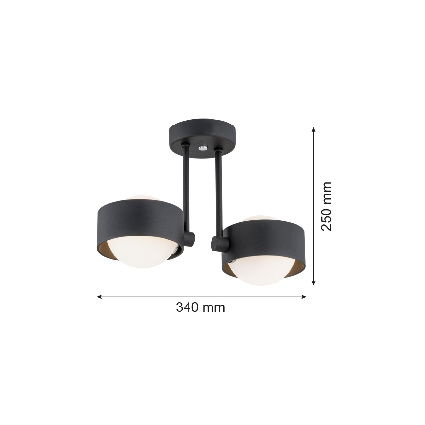 Argon 7089 - Luster na tyči MASSIMO PLUS 2xG9/6W/230V čierna