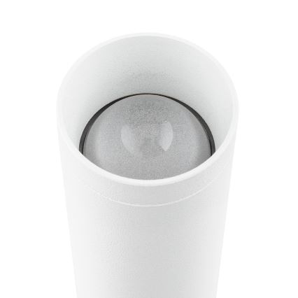 Argon 7223 - LED Nástenné svietidlo GRECO 2xLED/4,2W/230V 3000K biela