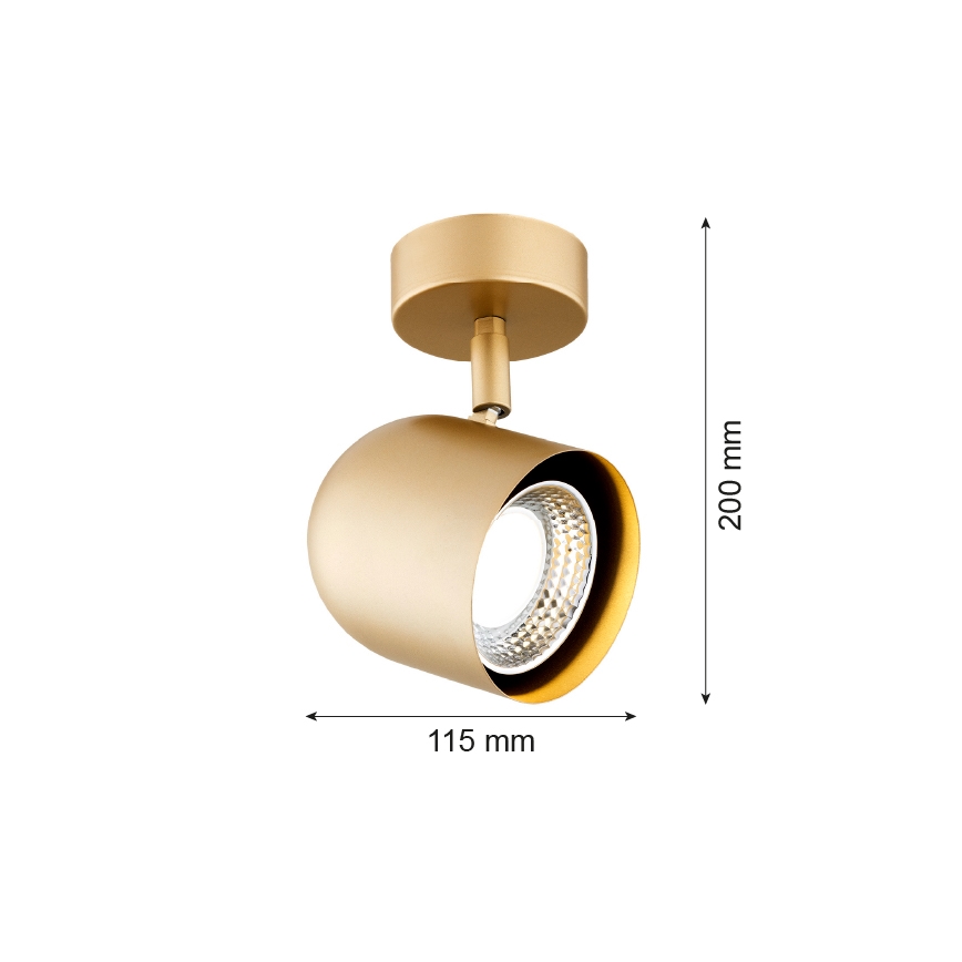 Argon 8260 - Bodové svietidlo ISOLA 1xGU10/5W/230V