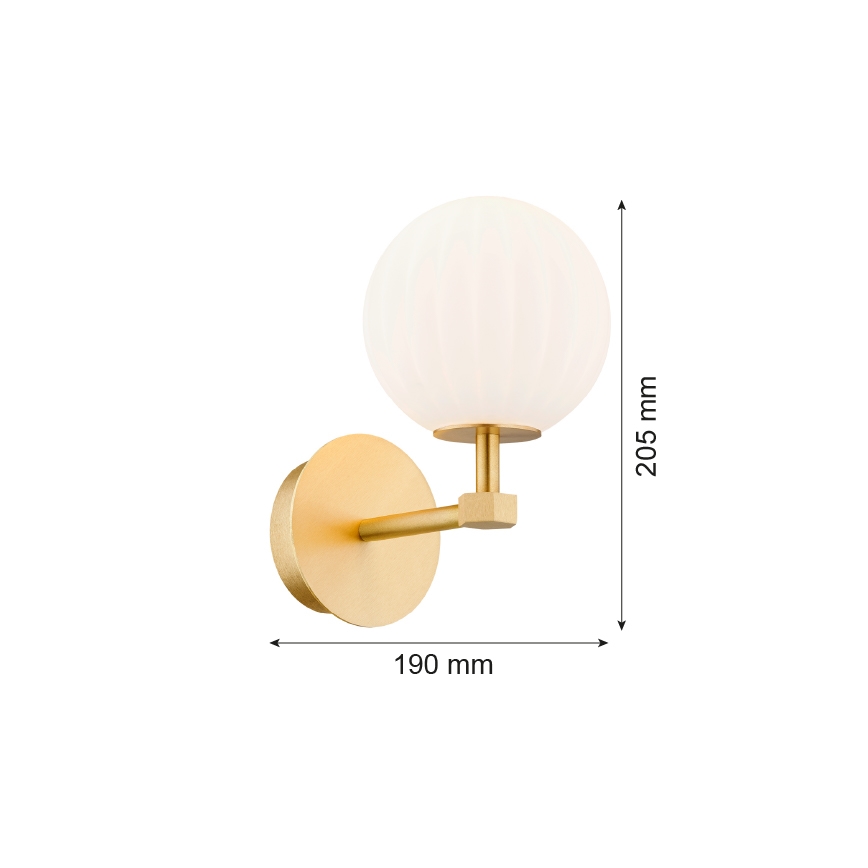 Argon 8502 - Nástenná lampa PALOMA 1xE14/7W/230V zlatá/biela