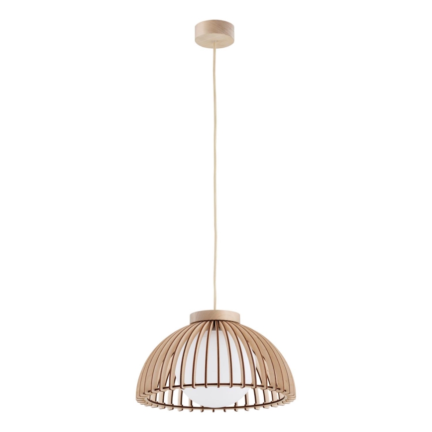 Argon 8634 - Luster na lanku TRE 1xE27/15W/230V