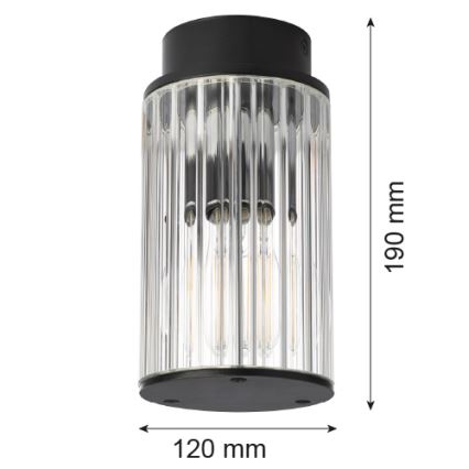 Argon 8773 - Vonkajšie stropné svietidlo NORFOLK 1xE27/15W/230V IP44 čierna