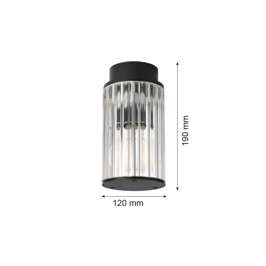 Argon 8773 - Vonkajšie stropné svietidlo NORFOLK 1xE27/15W/230V IP44 čierna