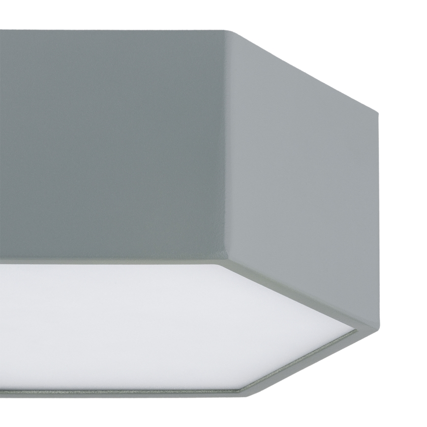 Argon 8784 - LED Stropné svietidlo LIBERO LED/12W/230V 3000K šedá