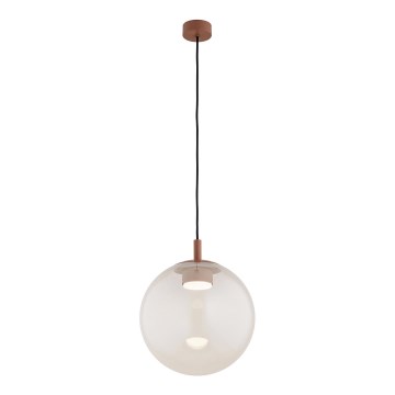 Argon 8829 - Luster na lanku SACRAMENTO 1xGX53/8W/230V číra/hnedá