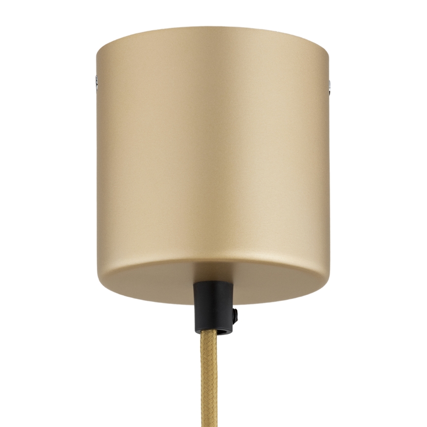 Argon 8869 - LED luster na lankách BOLTON LED/12,5W/230V 3000K zlatý