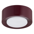 Argon 8904 - Stropné svietidlo ELORA 1xGX53/7W/230V pr. 11 cm vínová