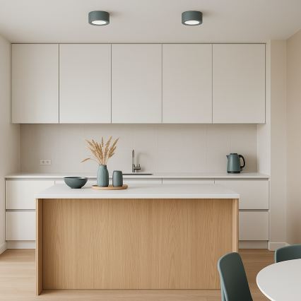 Argon 8917 - Stropné svietidlo ELORA 1xGX53/7W/230V Ø 11 cm sivé