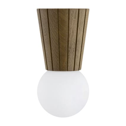 Argon 8974 - Kúpeľňové stropné svietidlo VOLANTE 1xG9/6W/230V IP44 pr. 12 cm hnedé