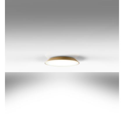 Artemide AR 0241320A - LED Stropné svietidlo FEBE 4xLED/30W/230V