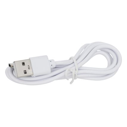 Atmosphera - LED Solárna lampa KESY LED/1,2V IP44