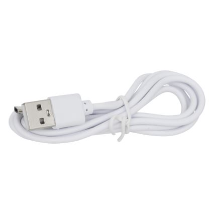 Atmosphera - LED Solárna lampa KESY LED/1,2V IP44