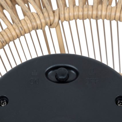 Atmosphera - LED Solárna lampa LOISE LED/1,2V IP44