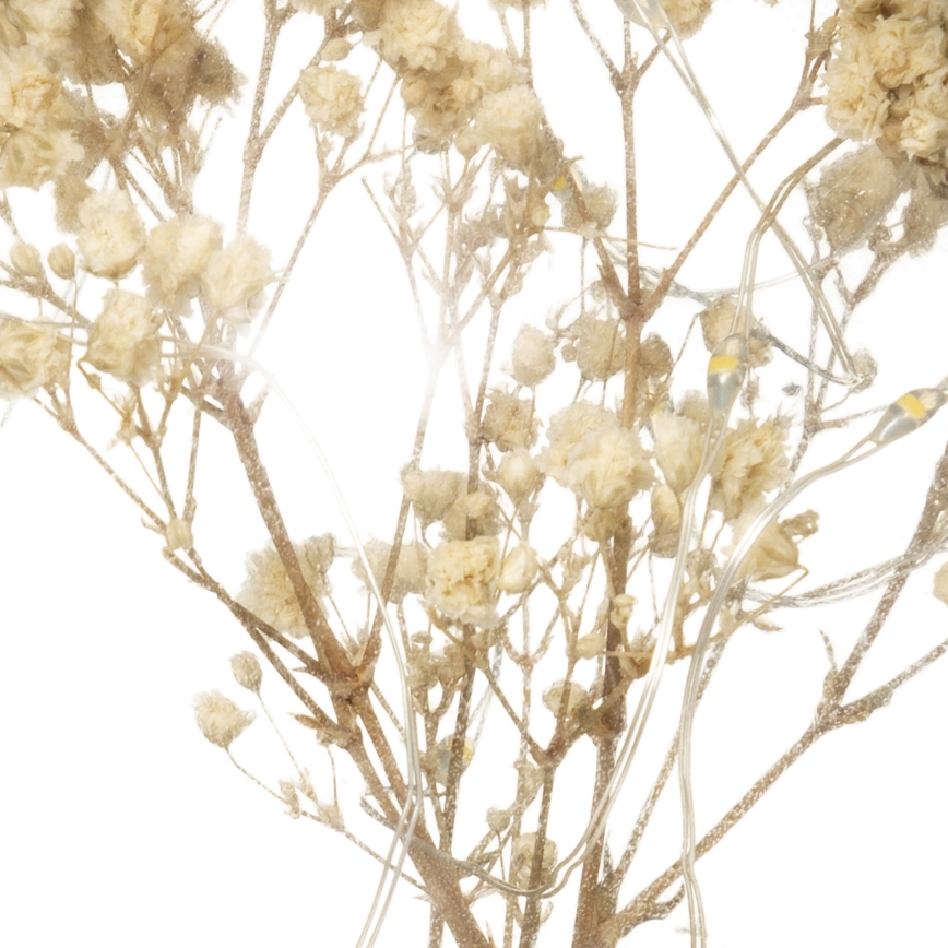 Atmosphera - LED stolová lampa MICRO LED/2xAAA antracitová