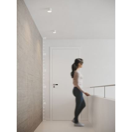 Azzardo AZ2252 - LED stropné svietidlo MONZA LED/5W/230V