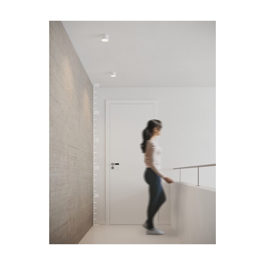 Azzardo AZ2253 - LED Stropné svietidlo MONZA 1xLED/5W/230V