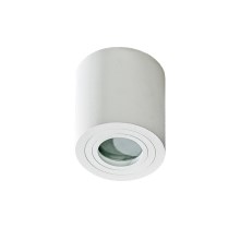 Azzardo AZ2690 - Kúpeľňové stropné svietidlo BRANT 1xGU10/50W/230V IP44