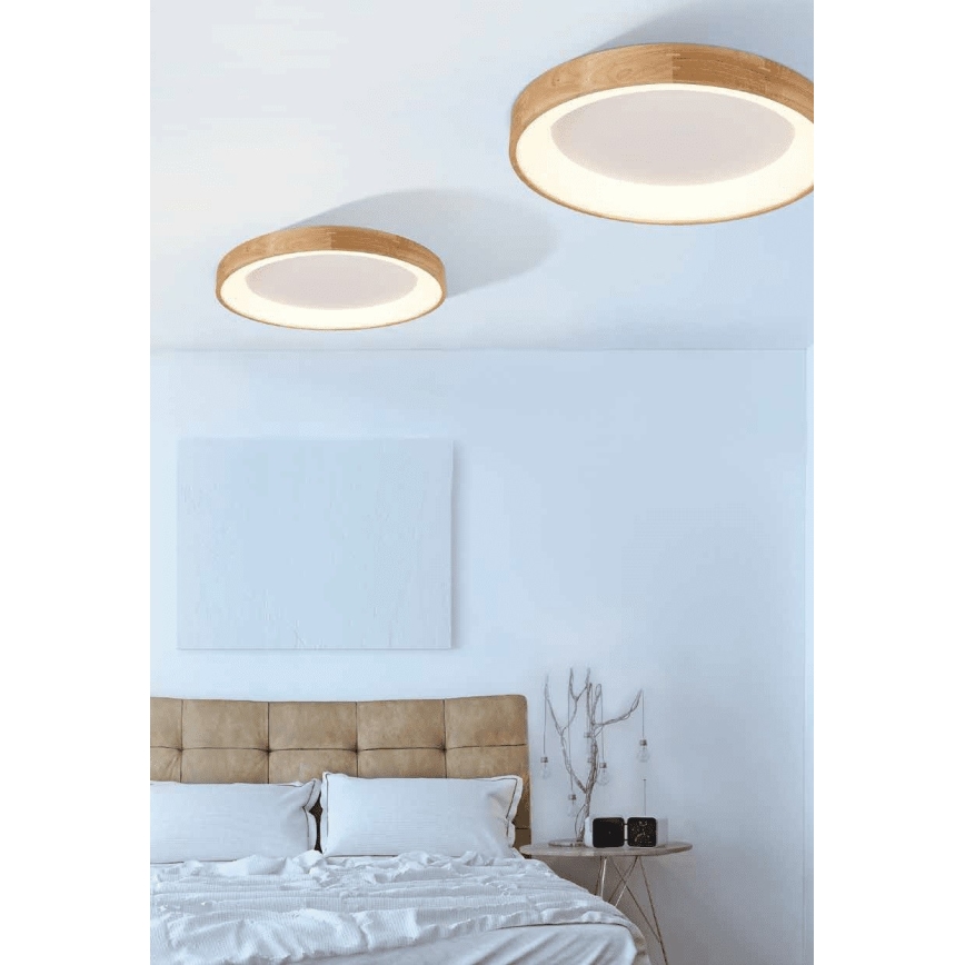 Azzardo AZ2698 - LED Stropné svietidlo SILVAM 1xLED/50W/230V