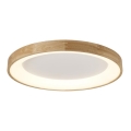 Azzardo AZ2698 - LED stropné svietidlo SILVAM LED/50W/230V