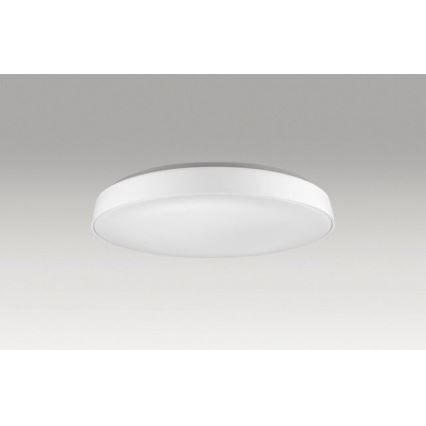 Azzardo AZ2741 - LED Stropné svietidlo CORTONA 1xLED/50W/230V 3000K