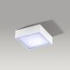 Azzardo AZ2781 - LED Stropné svietidlo FALCO LED/12W/230V
