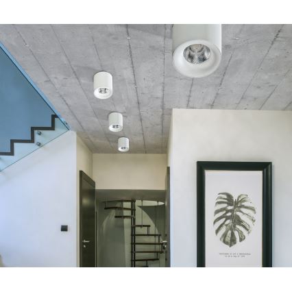 Azzardo AZ2845 - LED stropné svietidlo MANE LED/10W/230V