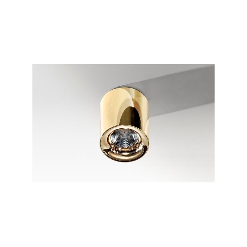 Azzardo AZ2846 - LED Stropné svietidlo MANE 1xLED/10W/230V