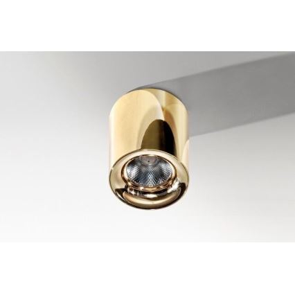 Azzardo AZ2846 - LED Stropné svietidlo MANE LED/10W/230V