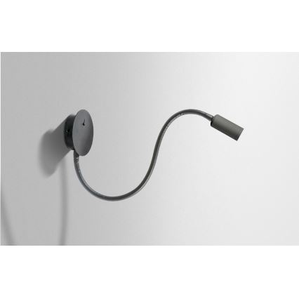 Azzardo AZ2943 - LED nástenné bodové svietidlo NOGAT LED/3W/230V