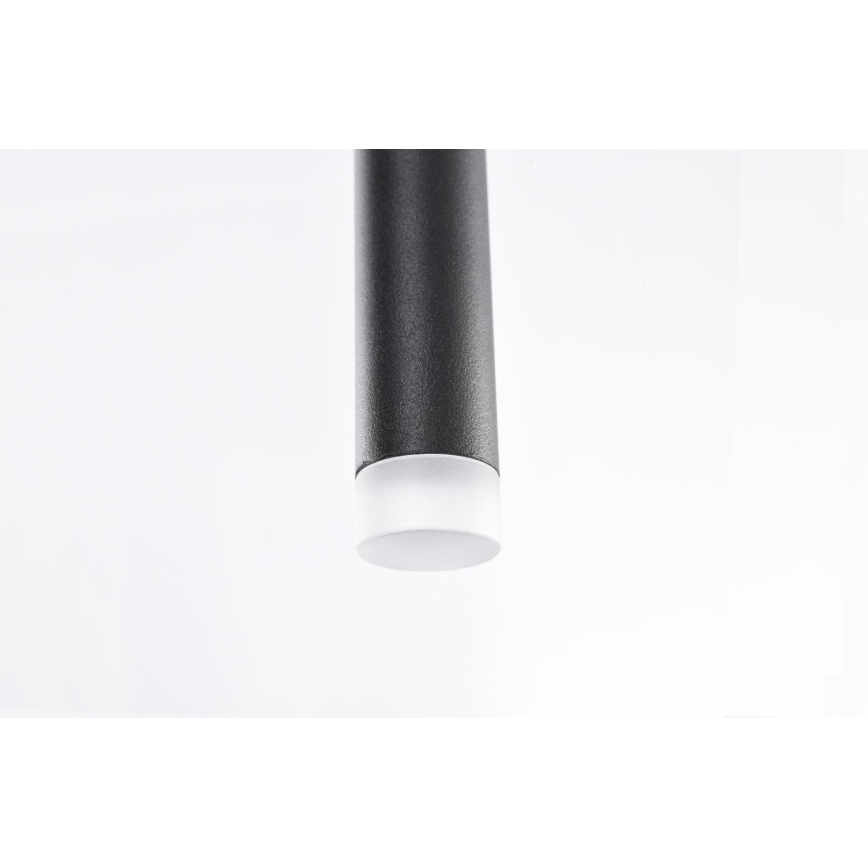 Azzardo AZ3155 - LED Luster na lanku LOUISE LED/3W/230V