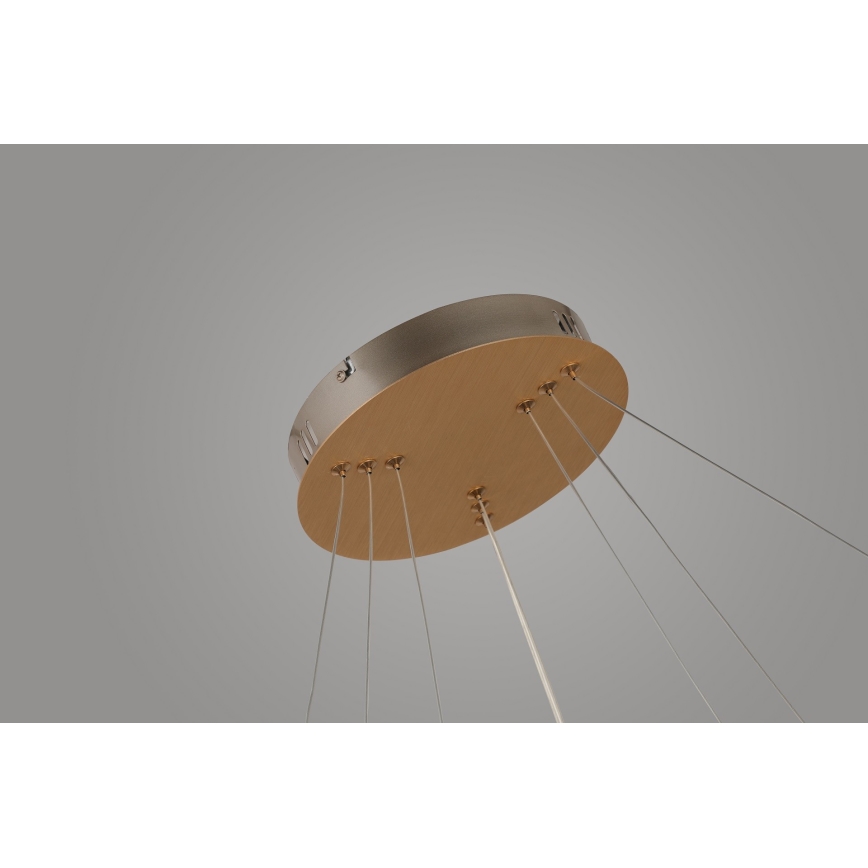 Azzardo AZ4429 - LED Luster na lanku BRIGHTON LED/55W/230V zlatá