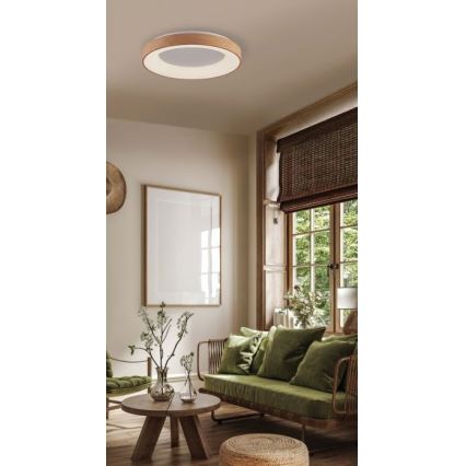 Azzardo AZ4989 - LED Stropné svietidlo SANTANA LED/30W/230V hnedá