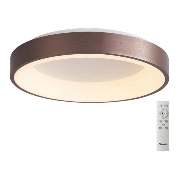 Azzardo AZ4990 - LED Stmievateľné stropné svietidlo SANTANA LED/50W/230V hnedá + diaľkové ovládanie