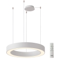 Azzardo AZ5052 - LED stmievateľný luster na lane MARCO LED/100W/230V biela + diaľkové ovládanie