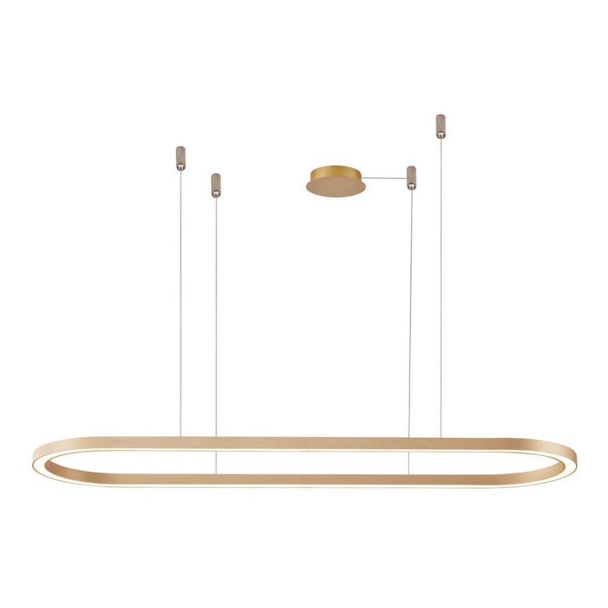 Azzardo AZ5056 - LED Stmievateľný luster na lanku ELENA LED/50W/230V 120 cm zlatá