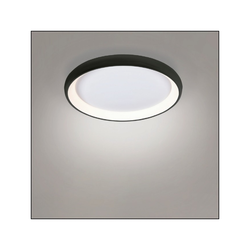 Azzardo AZ5072 - LED Stmievateľné stropné svietidlo ANTONIO LED/50W/230V čierna + diaľkové ovládanie