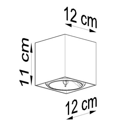 Bodové svietidlo BLAKE 1xGU10/40W/230V