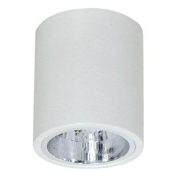 Bodové svietidlo DOWNLIGHT ROUND 1xE27/60W/230V Bodové svietidlo DOWNLIGHT ROUND 1xE27/60W/230V