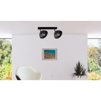 Bodové svietidlo FAUN 2xE27/60W/230V čierna