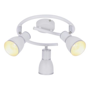 Bodové svietidlo FIDO 3xE14/40W/230V biela