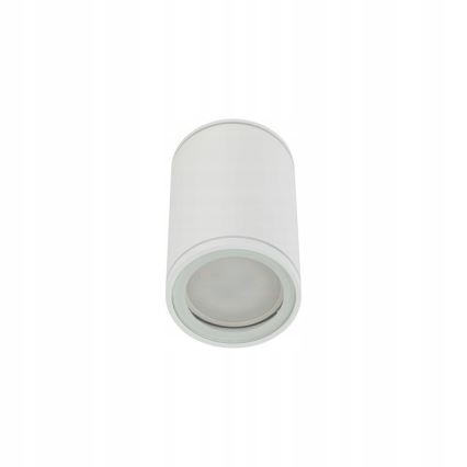 Bodové svietidlo FLARE 1xGU10/10W/230V 10 cm biela