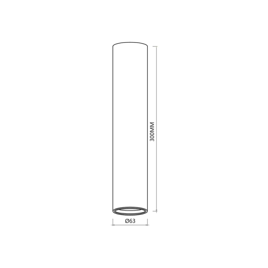 Bodové svietidlo GENESIS 1xGU10/8W/230V 30 cm biela