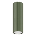 Bodové svietidlo KARBON 1xGU10/10W/230V 20 cm zelená