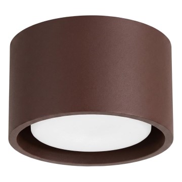 Bodové svietidlo MODO 1xGX53/10W/230V hnedá