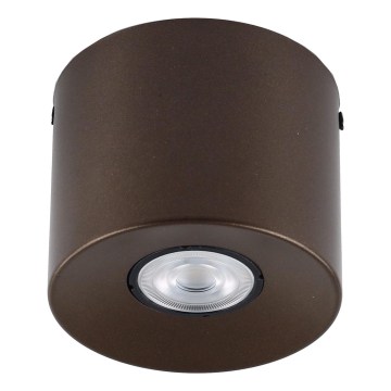 Bodové svietidlo ORION 1xGU10/10W/230V 9 cm hnedé